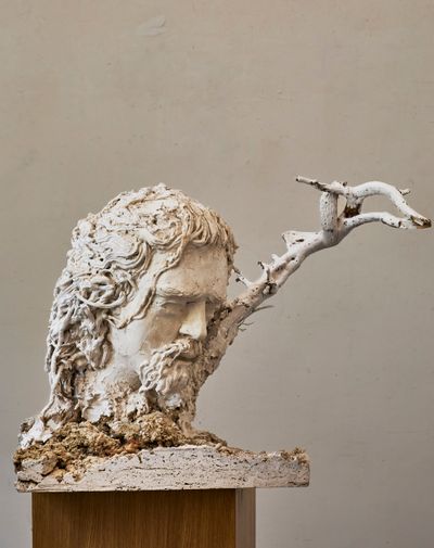 Uomo albero (testa) di Floriano Ippoliti, gesso, legno e travertino, 50 cm